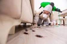 مكافحة حشرات بالدمام